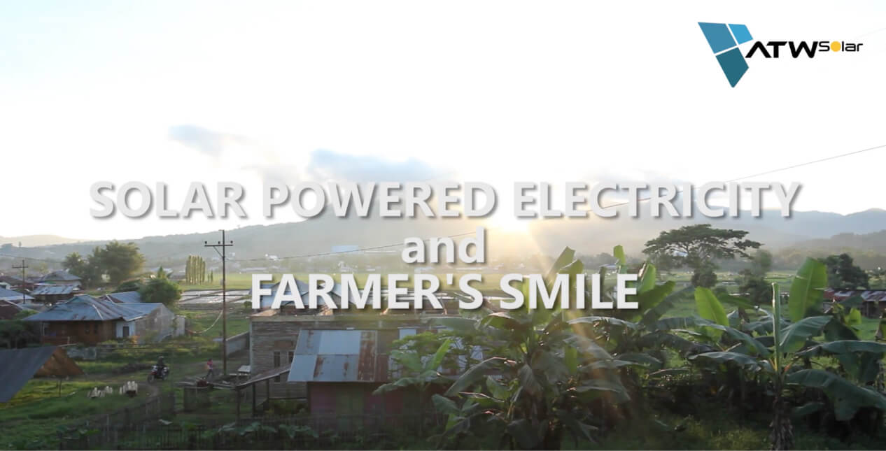 Solar Energy for Drying Patchouli Leaves