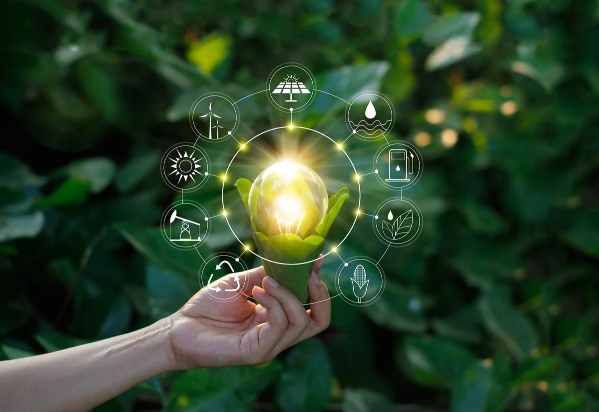 Energy Audits for Companies: Objectives and Benefits